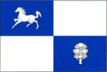 Nisporeni rajon flag